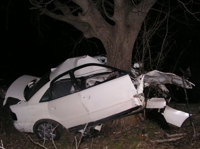 Шофьор от Пловдив се вряза в дърво, загина намясто