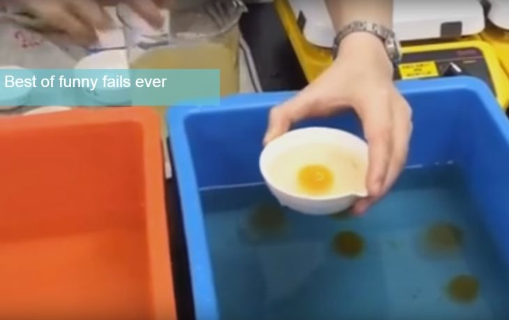 Китайците измислиха фалшиви яйца ВИДЕО