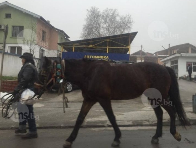 Прибраха на топло мъж от Асеновград заради кражба на кон и каруца