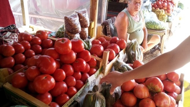 Полски домати сеят зарази по пловдивските сергии! Разболяват хора и зеленчуци