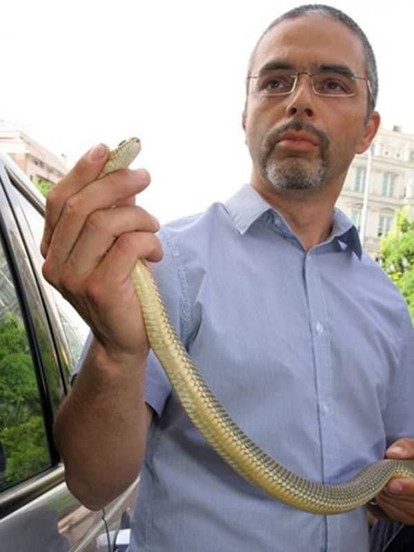 Хванаха три змии до детски площадки в Пловдив СНИМКИ 