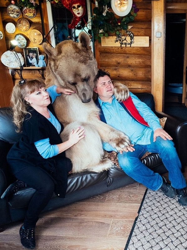 Руска двойка осиновила мечка преди 23 години и още живее с нея ВИДЕО