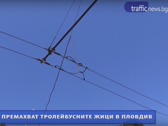 Свалят жиците убийци по централните пловдивски булеварди ВИДЕО