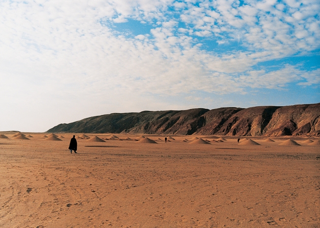 Над 30 мигранти са загинали в пустинята Сахара