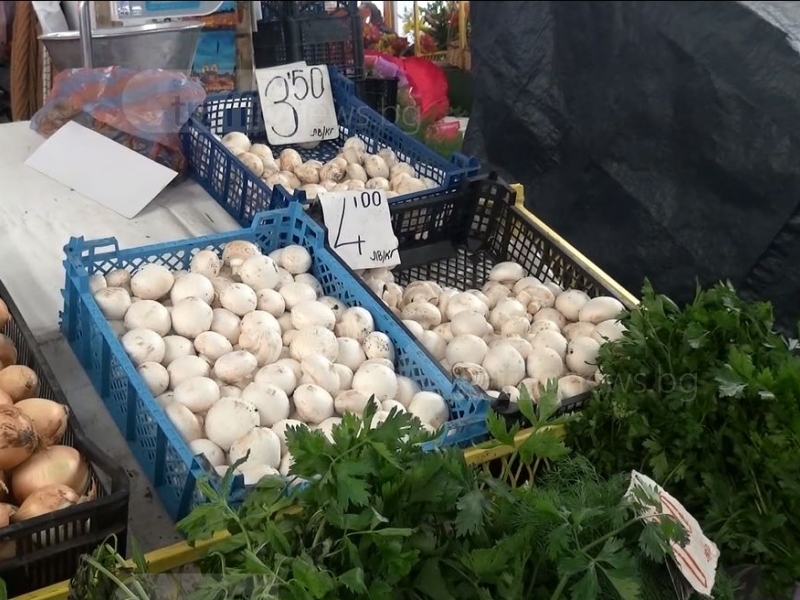 Продават ли се отровни гъби в пловдивските хипермаркети? ВИДЕО 