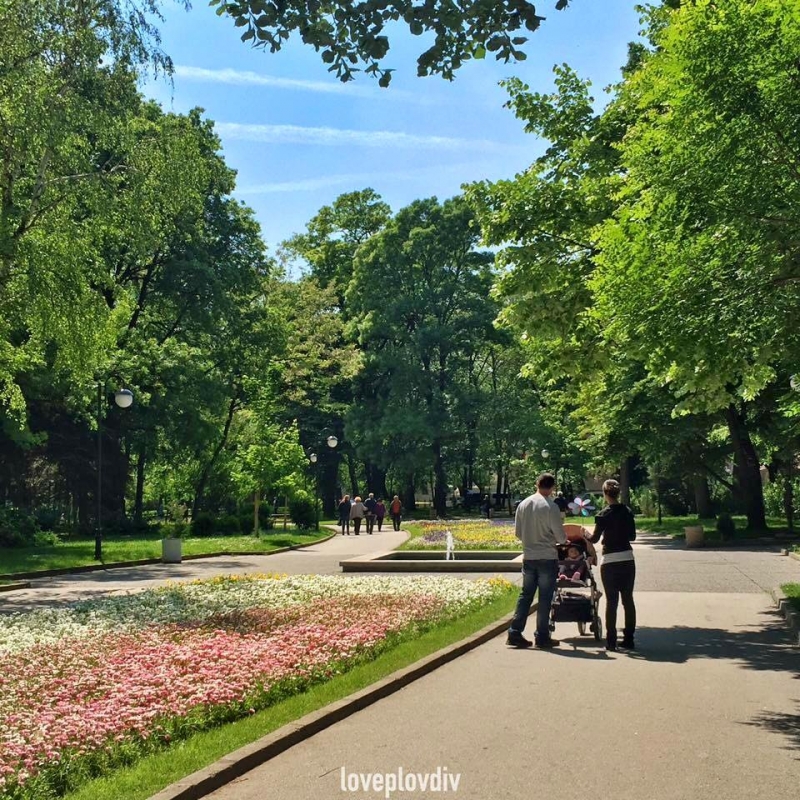 Добрият пример! Пловдивчанин намери портмоне в Цар Симеоновата градина, върна го