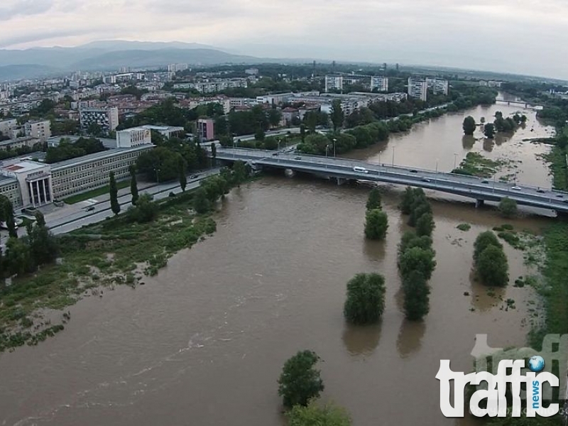 Всички тополи около Марица под секира