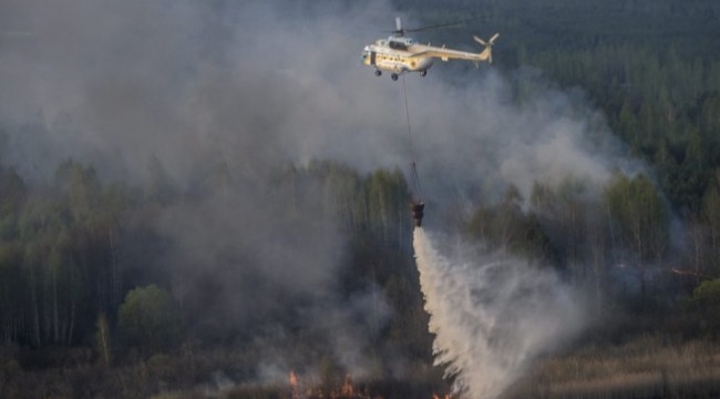 Забраниха паленето на огън в гората и на 100 метра извън нея