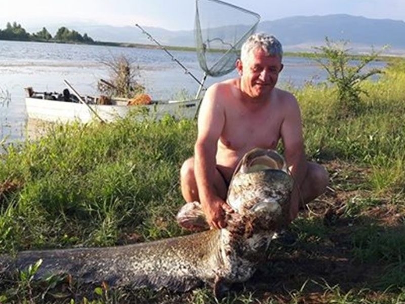 Доктор хвана 60-килограмов сом СНИМКИ