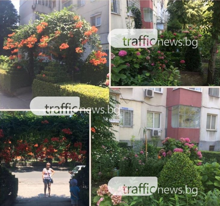 Съседи за пример: Арка от цветя посреща жителите на блок в Пловдив! ВИДЕО