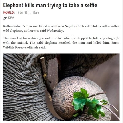 Мъж реши да си направи селфи с див слон и... загина