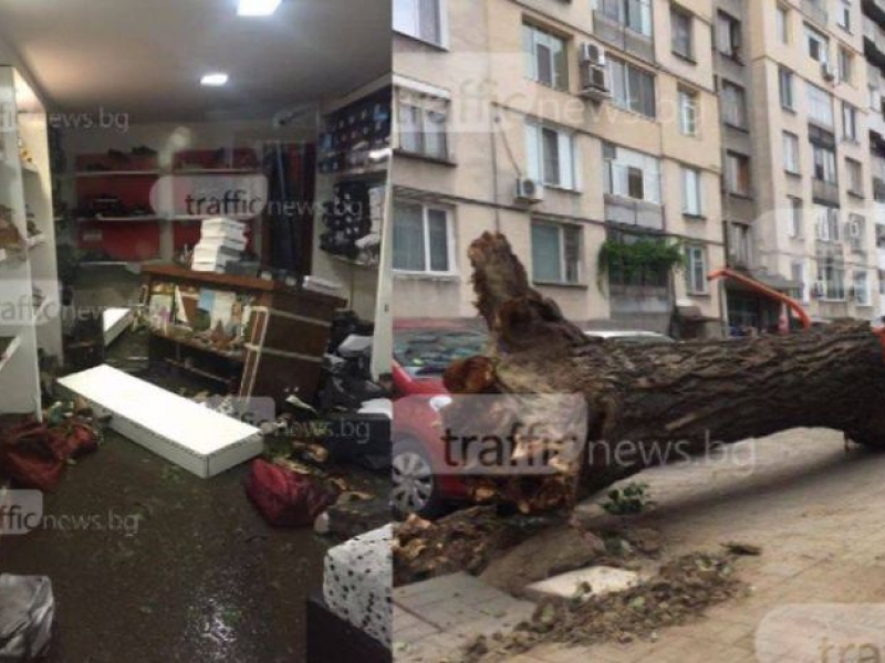 Стока за хиляди левове на боклука след потопа в Пловдив, дървета блокират тротоари СНИМКИ