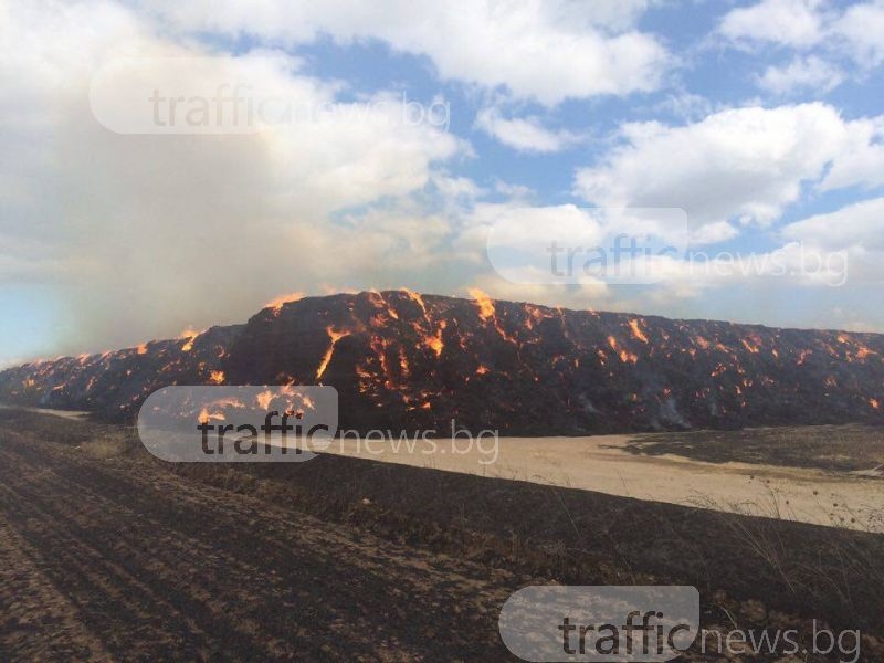 ВИДЕО от пожара край Пловдив, който нанесе щети за 4 милиона лева