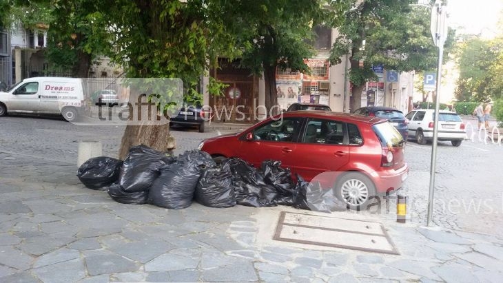 След невижданата буря в Пловдив: Събрани са 150 тона шума и 16 000 чувала с боклук СНИМКИ