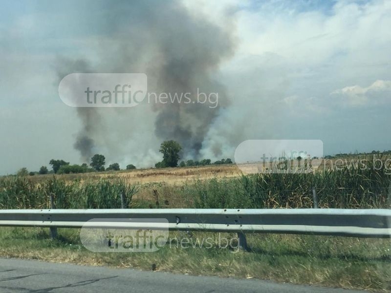 Пожар пак уплаши предприятията край Пловдив СНИМКИ