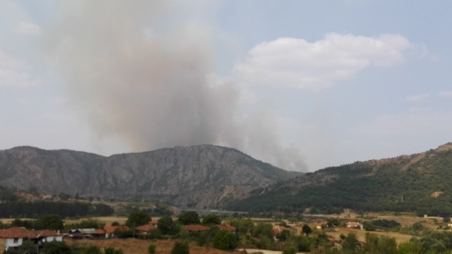 Огромният пожар в Хасково лумнал заради печене на патладжани