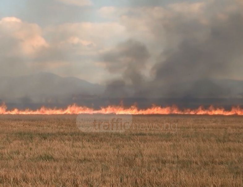 Пожар край вилната зона на Песнопой, пожарникари от Пловдив са накрак 