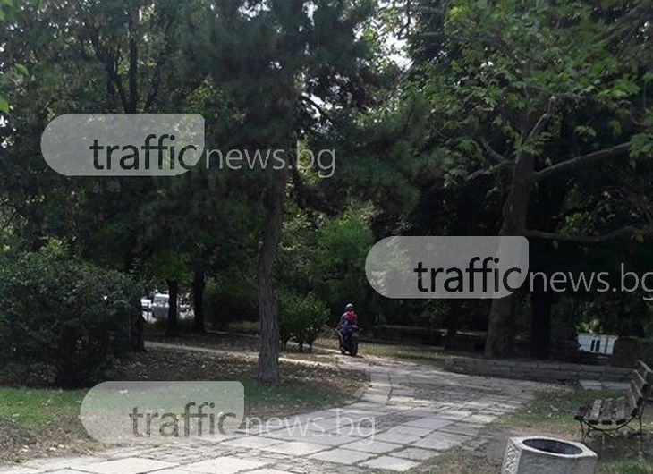 Мотористи превърнаха алея от пловдивски парк в шосе СНИМКИ