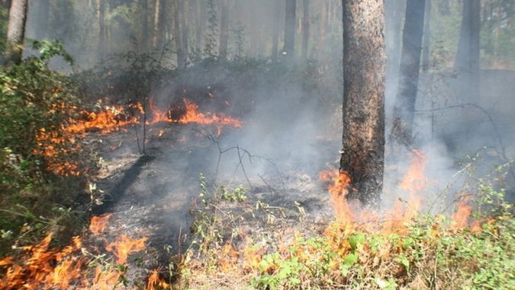 Пламъците в страната не стихват! Нов пожар избухна в Сакар планина