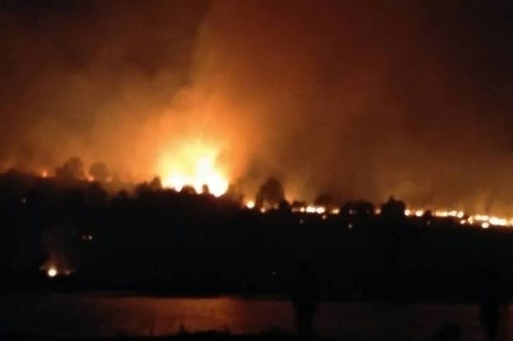 Фотоволтаичен парк беше погълнат от пламъците в Харманлийско