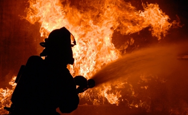Вдигнаха накрак пожарникарите на юг от Бургас! Огнени пламъци обхванаха Резово
