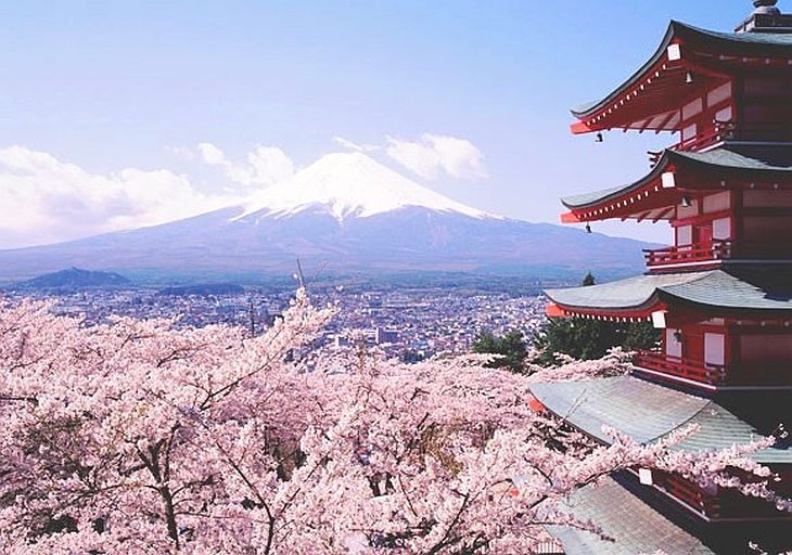 20 интересни факта за Япония СНИМКИ