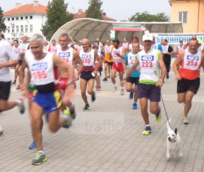 Как кучето Панчо пробяга 23 километра от Съединение до Пловдив ВИДЕО
