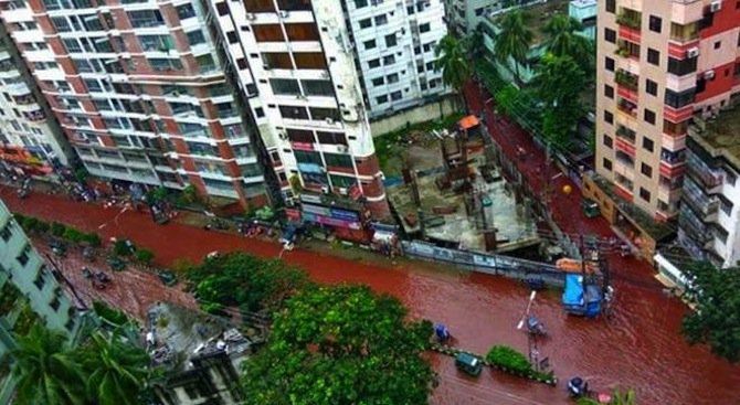 След масово клане на животни: Реки от кръв потекоха по улиците на столица ВИДЕО
