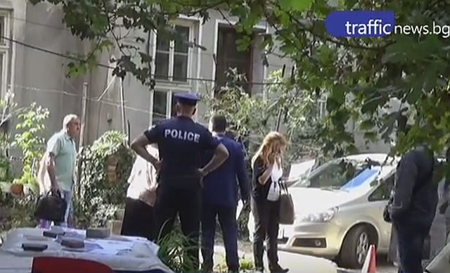 Викове убийци отекнаха в центъра на Пловдив! ЧСИ откри и иззе 7 котки от дома на възрастна жена 