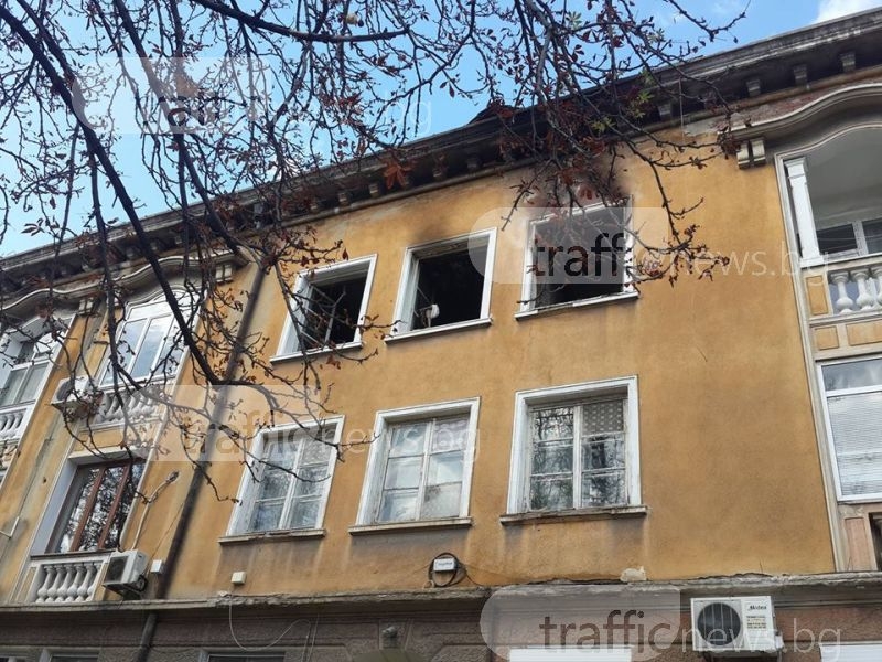 Проститутки, наркомани и бездомници обитавали опожарения апартамент на пловдивския професор ВИДЕО