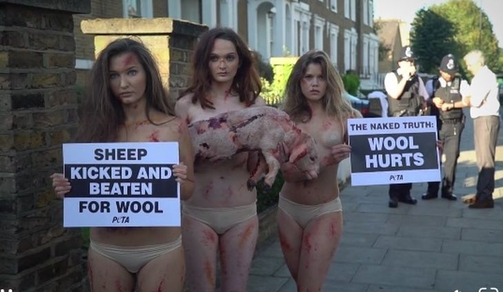 Активистки се съблякоха голи в знак на протест срещу начина, по който се стрижат овцете ВИДЕО