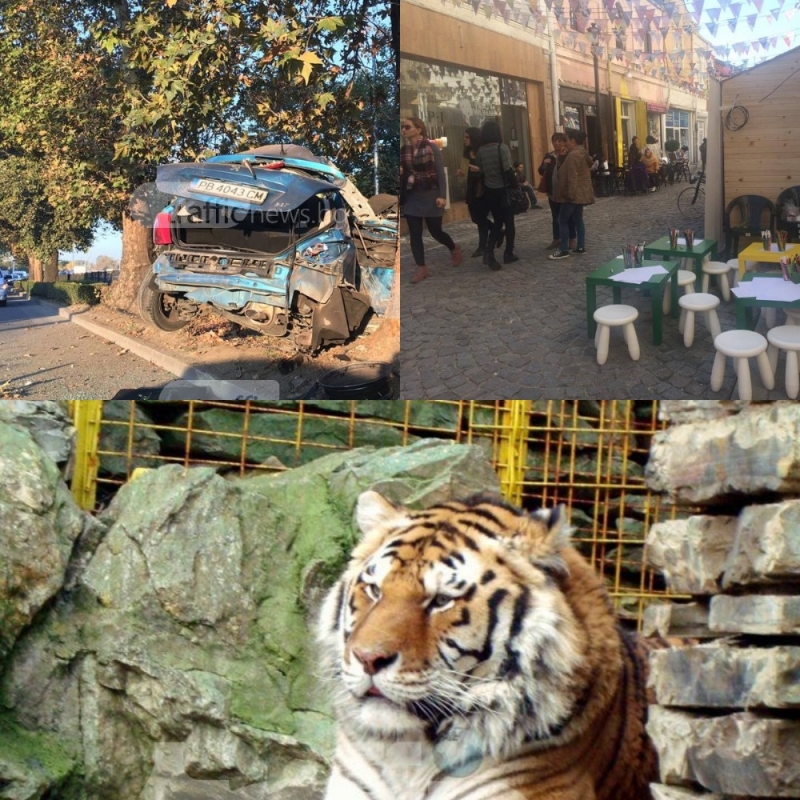 ЕМИСИЯ НОВИНИ: Невиждана каскада в Пловдив, работилници в Капана и тигър в зоопарка