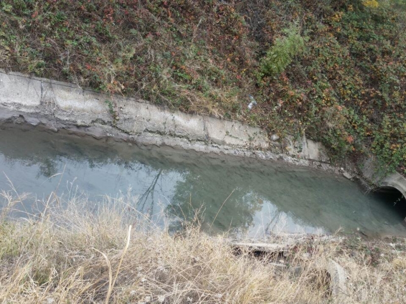 Глобяват КЦМ за изтровената риба в река Чепеларска