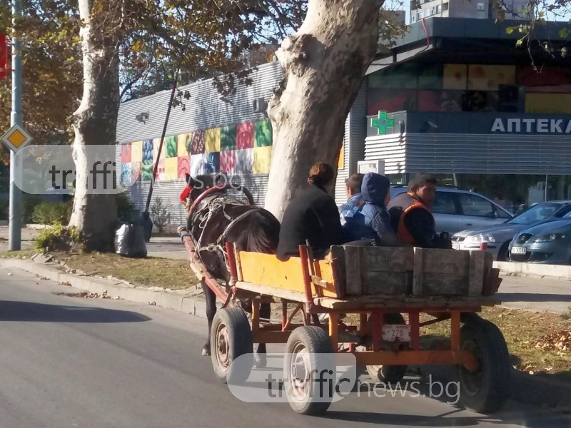 В Пловдив: бързи и яростни шофьори, бавни и спокойни каруцари СНИМКА