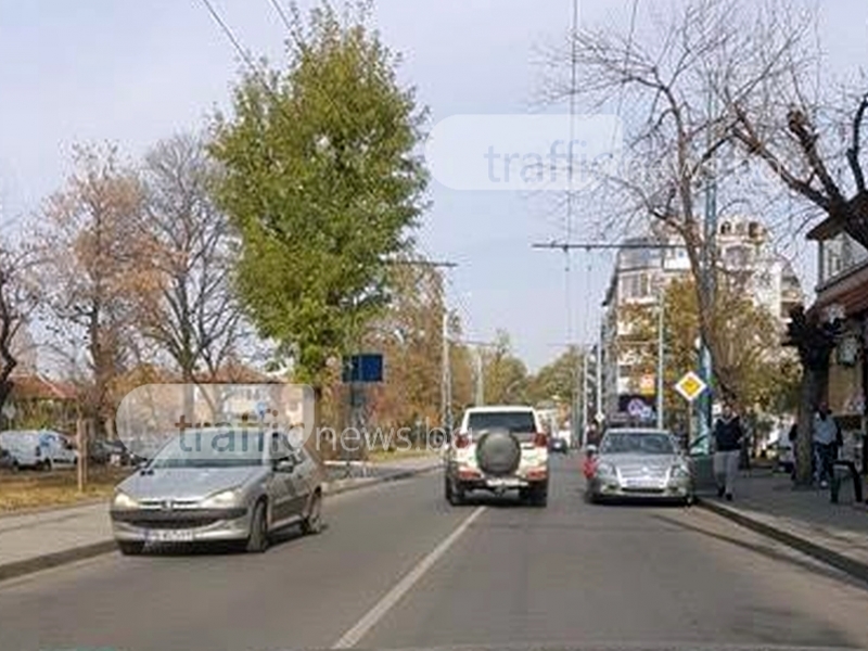 Откъде да минем? Царско паркиране в Пловдив задръсти булевард СНИМКА