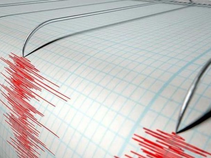 Мощно земетресение удари Нова Зеландия