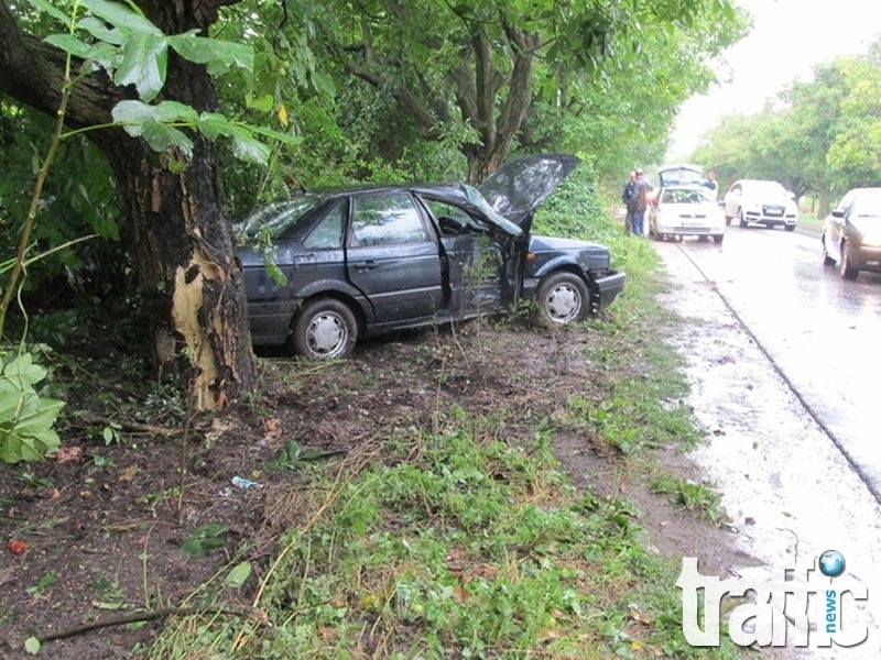 Пиян шофьор се заби в дърво край Пловдив