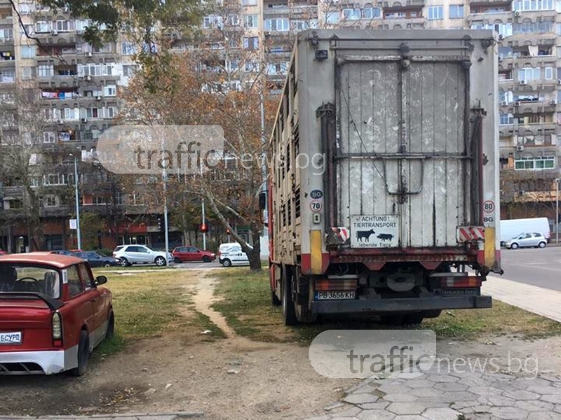 Камион и тунингован трабант завзеха зелени площи в Пловдив СНИМКИ