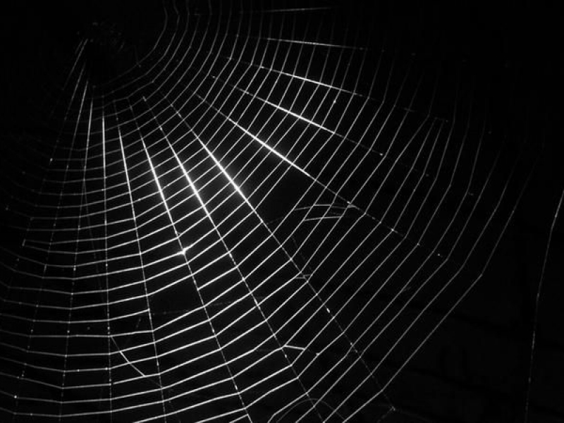 Какво точно е тъмната мрежа (dark web)?