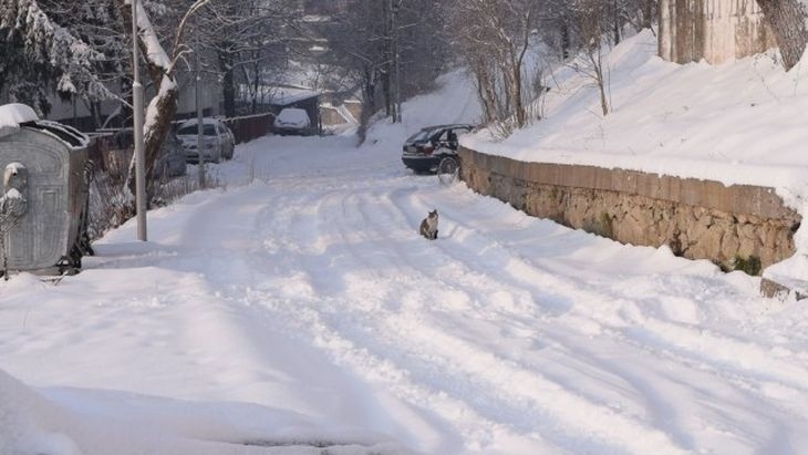 Сняг се сипе над цялата Пловдивска област, въведоха ограничения за тежките камиони