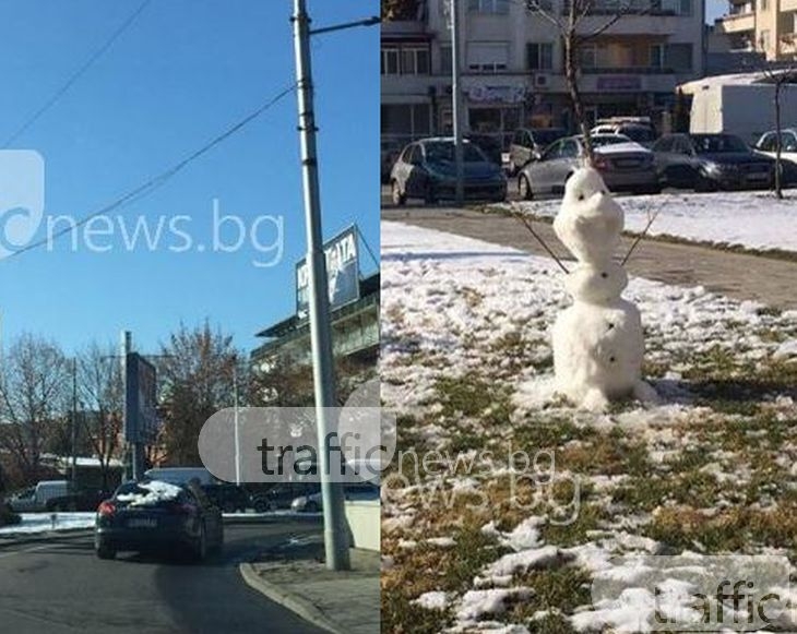 Докато порше ръси сняг от тавана си, семейство си прави снежен човек СНИМКИ