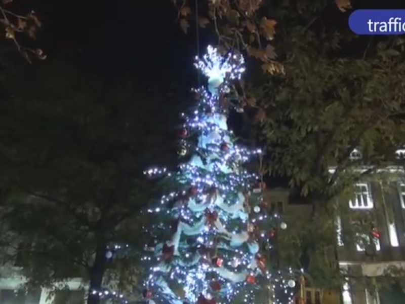 Най-голямото живо коледно дърво в България светна в сърцето на Пловдив ВИДЕО