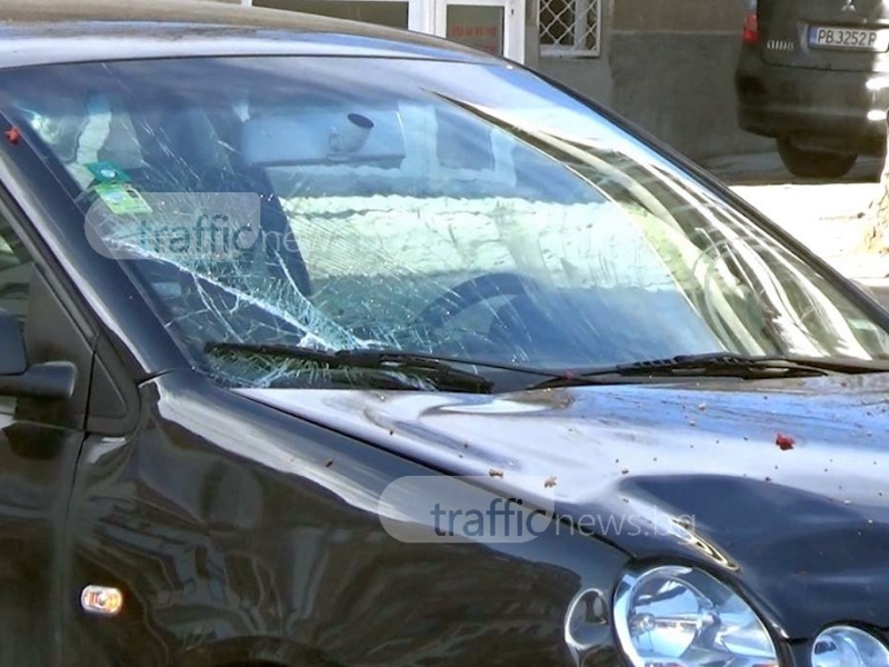 Блъснатата пешеходка в Пловдив е със счупена ръка, свидетели оборват шофьора! ВИДЕО