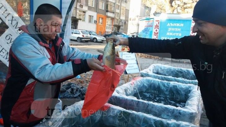 Шаранът в Пловдив закова на 5,80 лв/кг, ето как да познаем прясната риба СНИМКИ