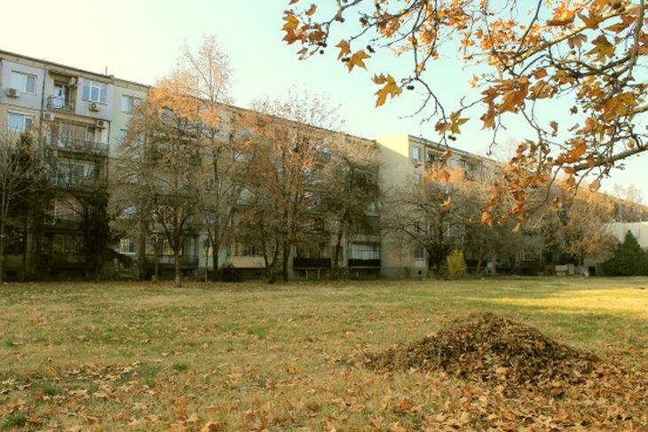 Частни амбиции унищожават зелени площи в Смирненски! Пловдивчани събират пари, за да спасят парк