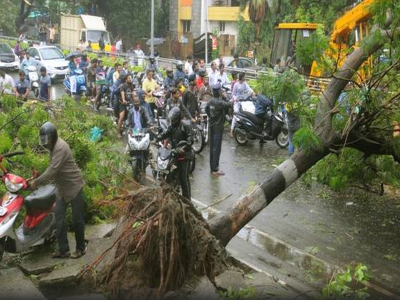 Циклон удари Индия! Вятър със скорост 120 км/ч събаря дървета