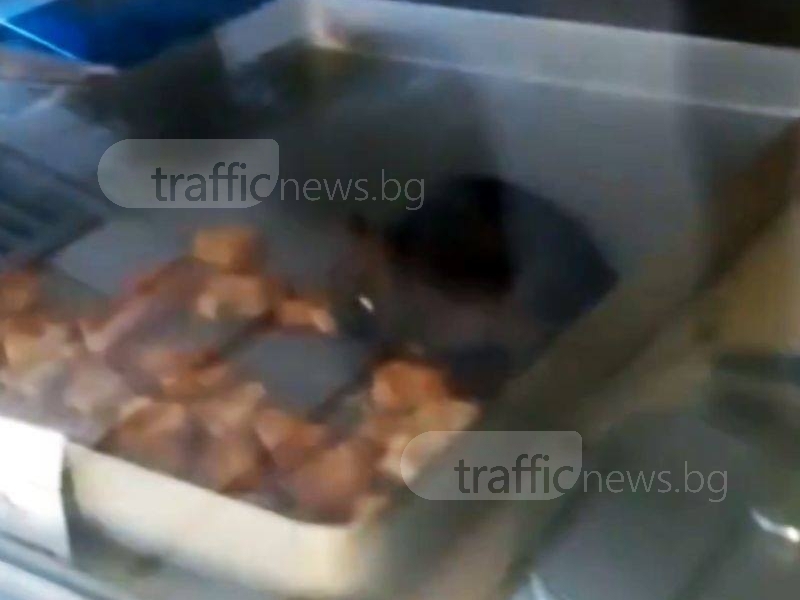 Баничарницата с плъх на витрината затвори рано-рано ВИДЕО