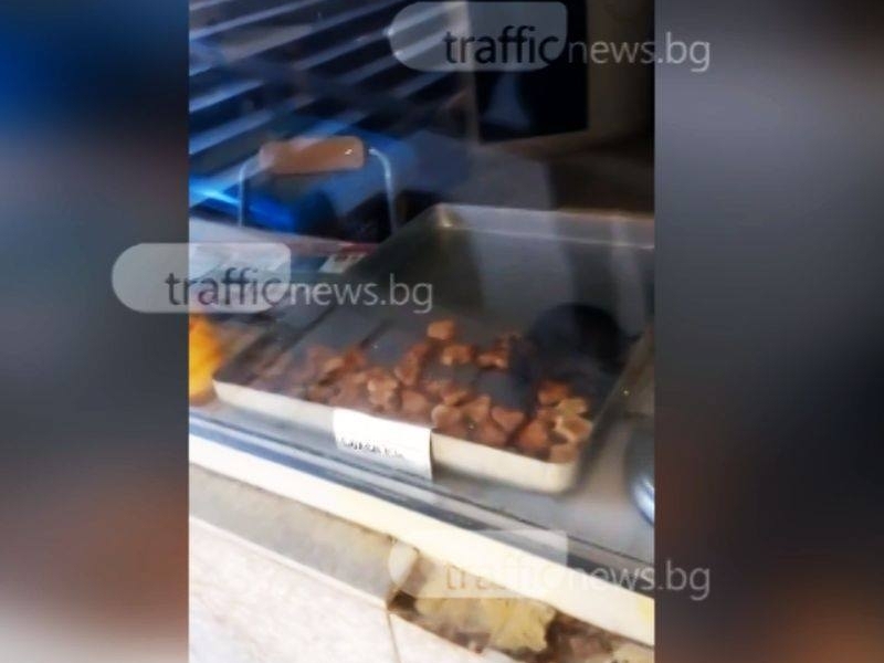Плъх яде соленки на витрината на баничарница в Пловдив ВИДЕО