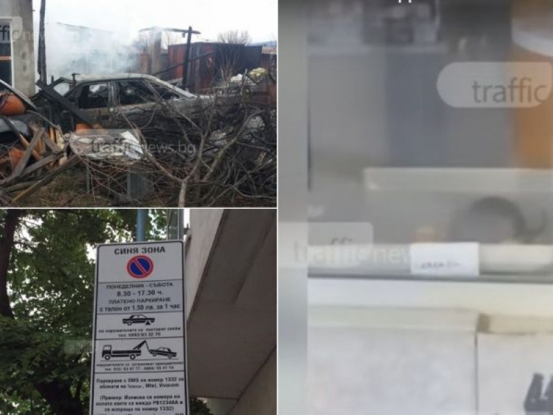ЕМИСИЯ НОВИНИ: Възрастни без дом, плъх в баничарница и скок на синята зона в Пловдив