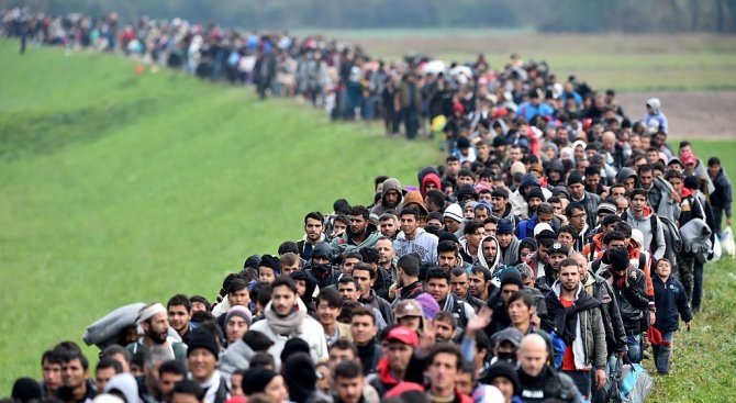Колко мигранти има по света?